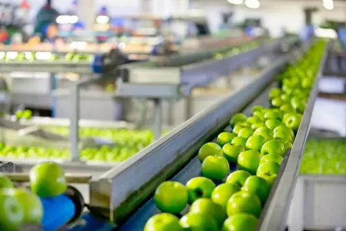 Miami workers compensation lawyer, Miami, FL – Worker Injured in Fall at Food Processing Plant